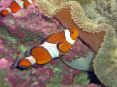 Presidents_Day_Trip_Feb_2010121_edited