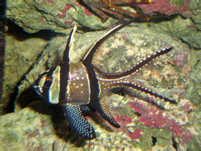 Presidents_Day_Trip_Feb_2010122_edited